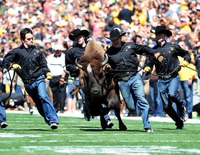 The Colorado Buffaloes mascot Ralphie is lead out before the start of the game against the California Golden Bears at Folsom Field.